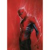 Komar Plagát Marvel Spider-Man 50 x 70 cm