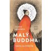 Malý Buddha: Cesta za štěstím - Claus Mikosch