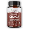 Blendea Chaga extrakt 60 kapslí