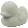 NATTOU Hračka do vody kačička Sage green 11 cm
