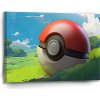 Sablio Obraz Pokemon ball Krajina - 90x60 cm