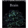 Self-Assembling Brain (Peter Robin Hiesinger)(Pevná)