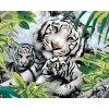zuty Maľovanie podľa čísel - Biely tiger a dve mláďatá (Howard Robinson), 40x50 cm, vypnuté plátno na rám (8596530060499)