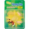 Insectlore Životný cyklus hmyzu včela medonosná