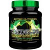 Scitec Nutrition L-Glutamine 600 g