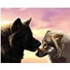 119906 NORIMPEX 5D Diamantová mozaika - Vlčia láska