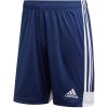 Šortky Adidas Tastigo 19 M DP3245 - S