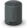 Bluetooth reproduktor Sony SRS-XB100 čierna (SRSXB100B.CE7)