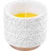 MagicHome Citronella 110x100 mm