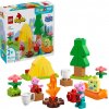 LEGO® DUPLO® Prasiatko Peppa 10452 Kempovačka