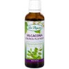 Vilcacora - bylinné kvapky DR. POPOV 50 ml