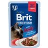 Brit Premium Cat D Fillets Gravy Lamb Sterilised 85 g