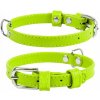 Kožený obojok pre psa klasický WAUDOG COLLAR, veľkosť XS
