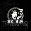Sensi Seeds Research Double Kush Cake Automatic semena neobsahuji THC 3 ks