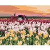 Diamondi Diamantové maľovanie - TULIPÁNY NA POLI (TED DAVIS) Rámovanie: vypnuté plátno na rám, Rozmer: 40x50 cm