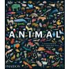Animal, Exploring the Zoological World