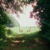 Ratboys - Singin' to an Empty Chair [CD]