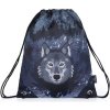 Bagmaster Vrecko na cvičky SHOES PRIM 22 C