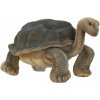 Hansa Galapagos Tortoise 30cm.L uni