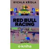 E-kniha Rychlá křídla - Ben Hunt