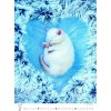 Helma - nástenný kalendár Kittens /Katzenbabys /Mačiatka /Mačičky 2026