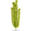 JK ANIMALS Anacharis 38-43 cm