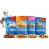 Coshida Krmivo pre mačky v želé XXL 24×100 g – Mix príchutí