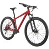 CANNONDALE TRAIL 29