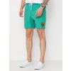 Santa Cruz Classic Dot (pool blue) L, zelená