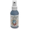 Cadence Textilná farba v spreji sivá 100 ml