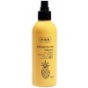 Ziaja Hydratačný telový sprej Pineapple Skin Care (Body Mist) 200 ml