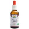 Salvia Paradise Právenka latnatá AF tinktura 50 ml