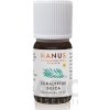 HANUS SILICA EUKALYPTUS ole 1x10 ml