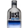 Roberto Cavalli Just Cavalli Him 2013 toaletná voda pre mužov 30 ml