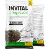 Invital DeepBasis 2 l