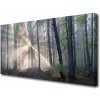 Obraz na plátne Les príroda 100x50 cm