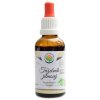 Salvia Paradise Tužebník jilmový AF tinktura 50 ml