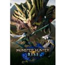 Hra na PC Monster Hunter Rise