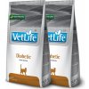 Farmina Vet Life cat diabetic 2 x 2 kg