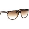 Ray-Ban RB4147 710