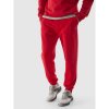 Trousers 4F 4FWSS24TTROM603 61S (191167) Black M