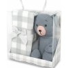 SLEEPWELL DETSKÝ DARČEKOVÝ SET - deka a medvedík pletený, šedý Mikroplyš UNI