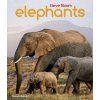 Elephants - Steve Bloom, David Henry Wilson