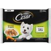 CESAR dog Selection mix v želé kapsičky pre psy 400g