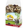 Zmes pre veľké vtáky JR BIRDS 1 kg