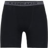 Boxerky Icebreaker Mens Anatomica Long Boxers