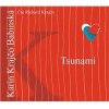 Richard Krajčo, Karin Babinská Krajčo - Tsunami (MP3-) CD