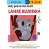 Môj pracovný zošit Ľahké bludiská - Toshihiki Karakido; Yoshiko Murakami; Masazi Inoue