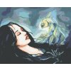 Maľovanie podľa čísel Žena a rybka, 80x100 cm, bez rámu a bez vypnutia plátna (6051342)