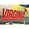 Virginia EU Steam CD Key
